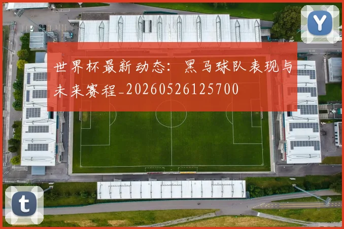 世界杯最新动态：黑马球队表现与未来赛程_20260526125700