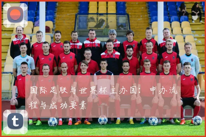 国际足联与世界杯主办国:申办流程与成功要素