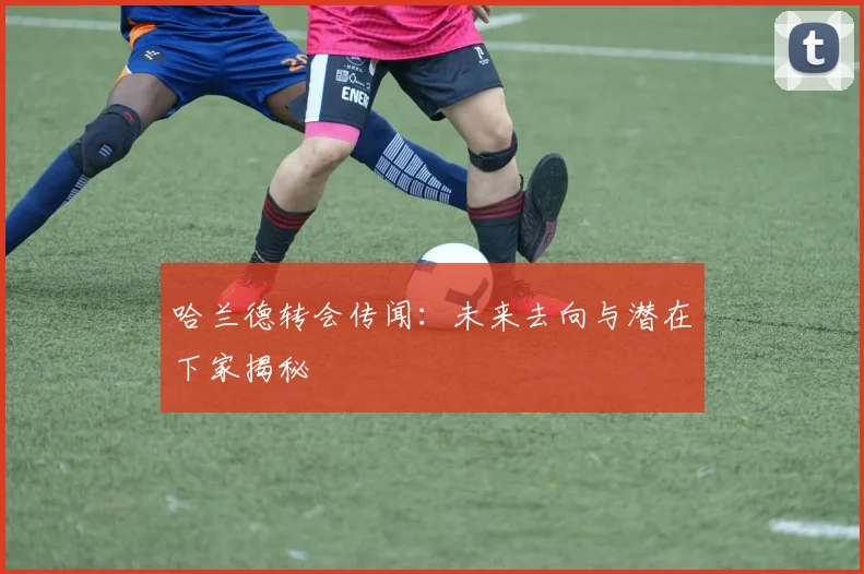 哈兰德转会传闻：未来去向与潜在下家揭秘