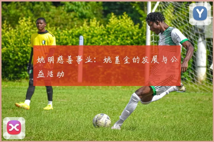 姚明慈善事业：姚基金的发展与公益活动