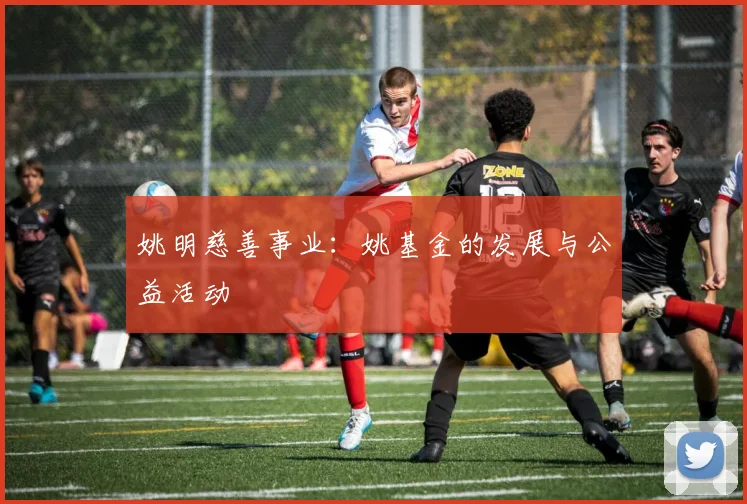 姚明慈善事业：姚基金的发展与公益活动