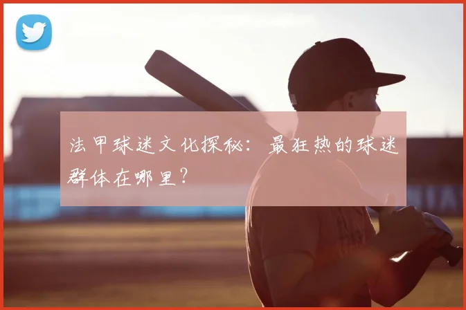 法甲球迷文化探秘：最狂热的球迷群体在哪里？